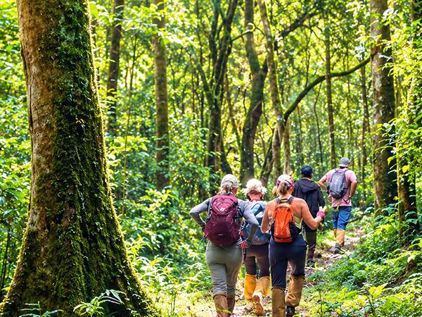 Western Ghats walking tour in India
