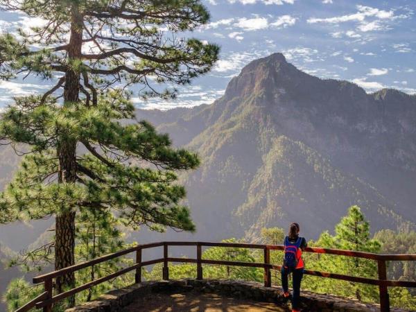 Canary islands small group tour