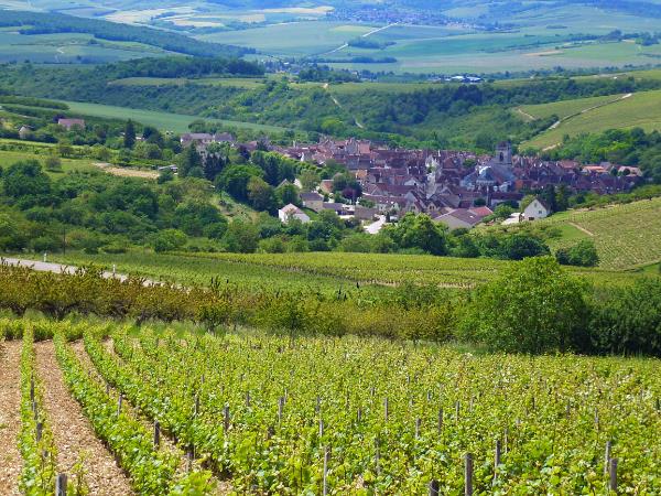 The wine villages of the Burgundy walking holiday