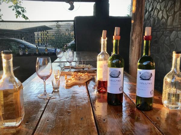 Georgia small group walking and wine tour