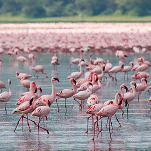 Top 10 lesser known national parks in Africa