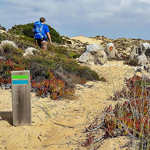 Best time to visit Alentejo