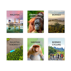 All our Malaysia guides