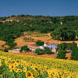 Rural accommodation in Andalucia