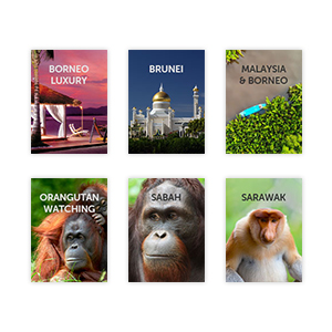 All our Borneo guides