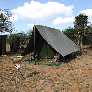 Bush camp safaris travel guide