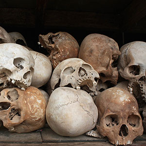 The Killing Fields, Cambodia