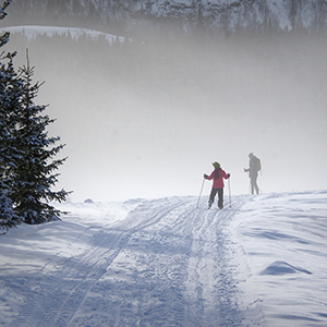 Norway cross country skiing