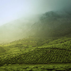 Cycling holidays in Kerala
