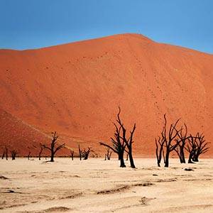 Namib & Kalahari Desert holidays