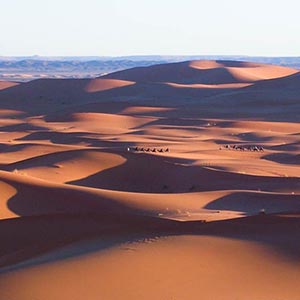Things to see & do in the Sahara Desert