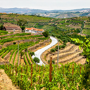 Cycling the length of Portugal on the N2