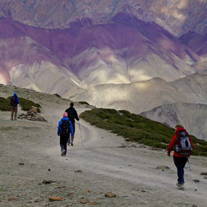 Ladakh travel guide