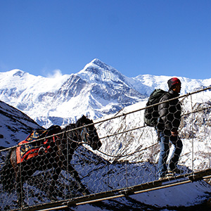 Annapurna Circuit travel guide