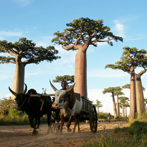 Where to go cycling in Madagascar