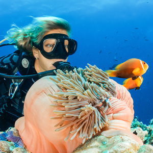Where to go on a scuba diving holiday