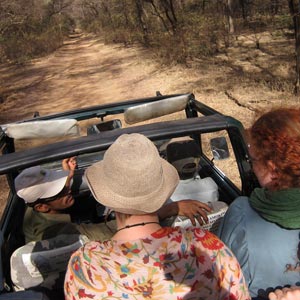 Things to on a family holiday in India