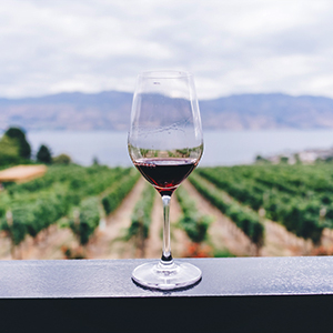 Walking & wine tasting holidays