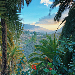 Canary Islands travel advice
