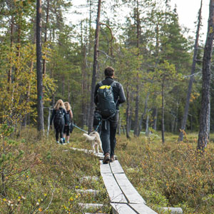 Unusual holidays in Finland