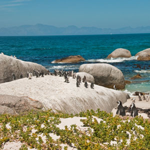 Best time to visit the Garden Route