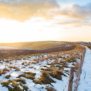 Best time to visit the South Downs