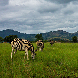 Best time to visit Eswatini (Swaziland)