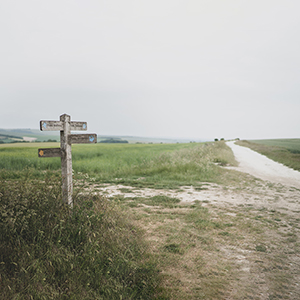 Walking the South Downs Way 
