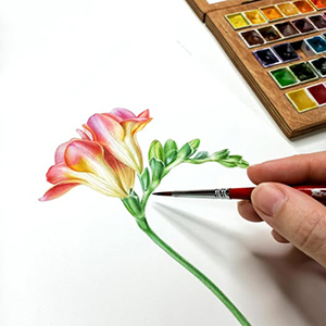 Top 10 painting holidays for solo travellers