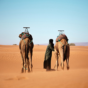 Morocco travel advice