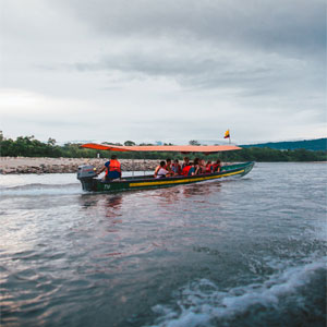 Rainforests travel advice