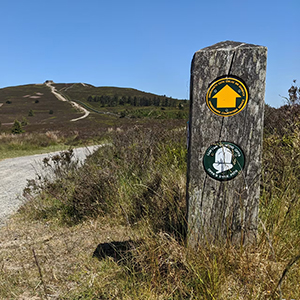 Top 8 holidays in Wales