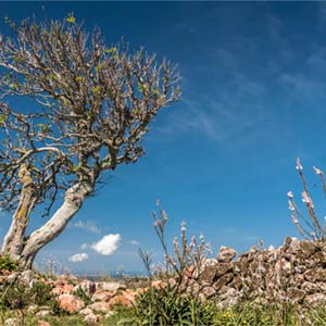 Walking in Menorca