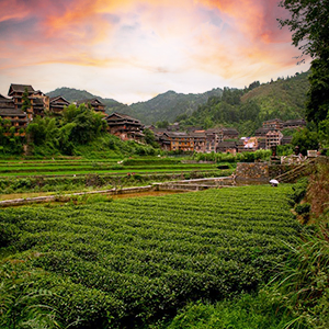 China travel guide