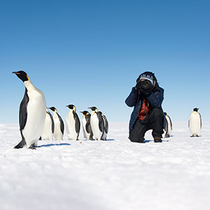 Top 10 Antarctic cruises
