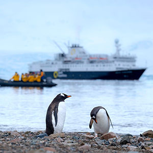 How to choose a cruise ship for Antarctica
