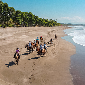 Solo travel on organised small group tours