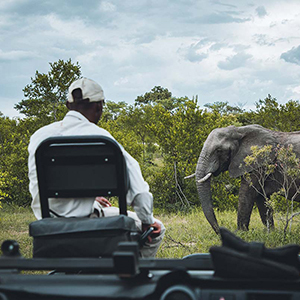 Luxury safaris travel guide