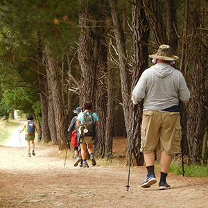 Walking the Camino de Santiago in a small group