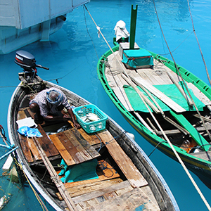 Keeping things local in the Maldives