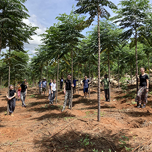 Rewilding in Tanzania