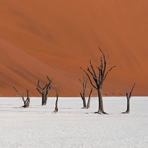 Lodge safaris in Namibia