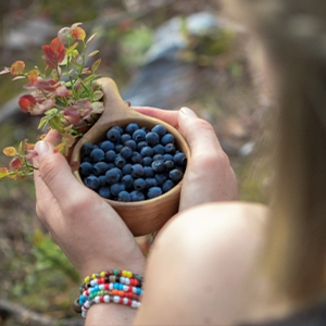 Foraging holidays