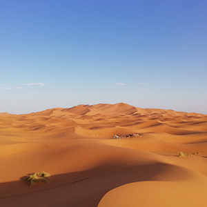 Western Sahara travel guide