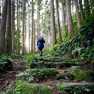 Japan multi activity tours