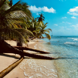 Panama travel guide
