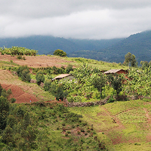 Best time to visit Burundi