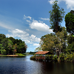 Brunei travel guide