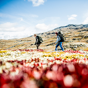 Wilderness holidays in Norway