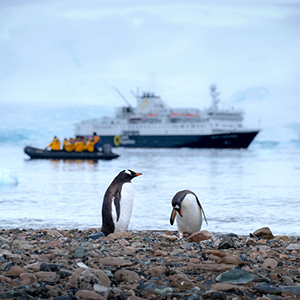 Expedition cruising guide